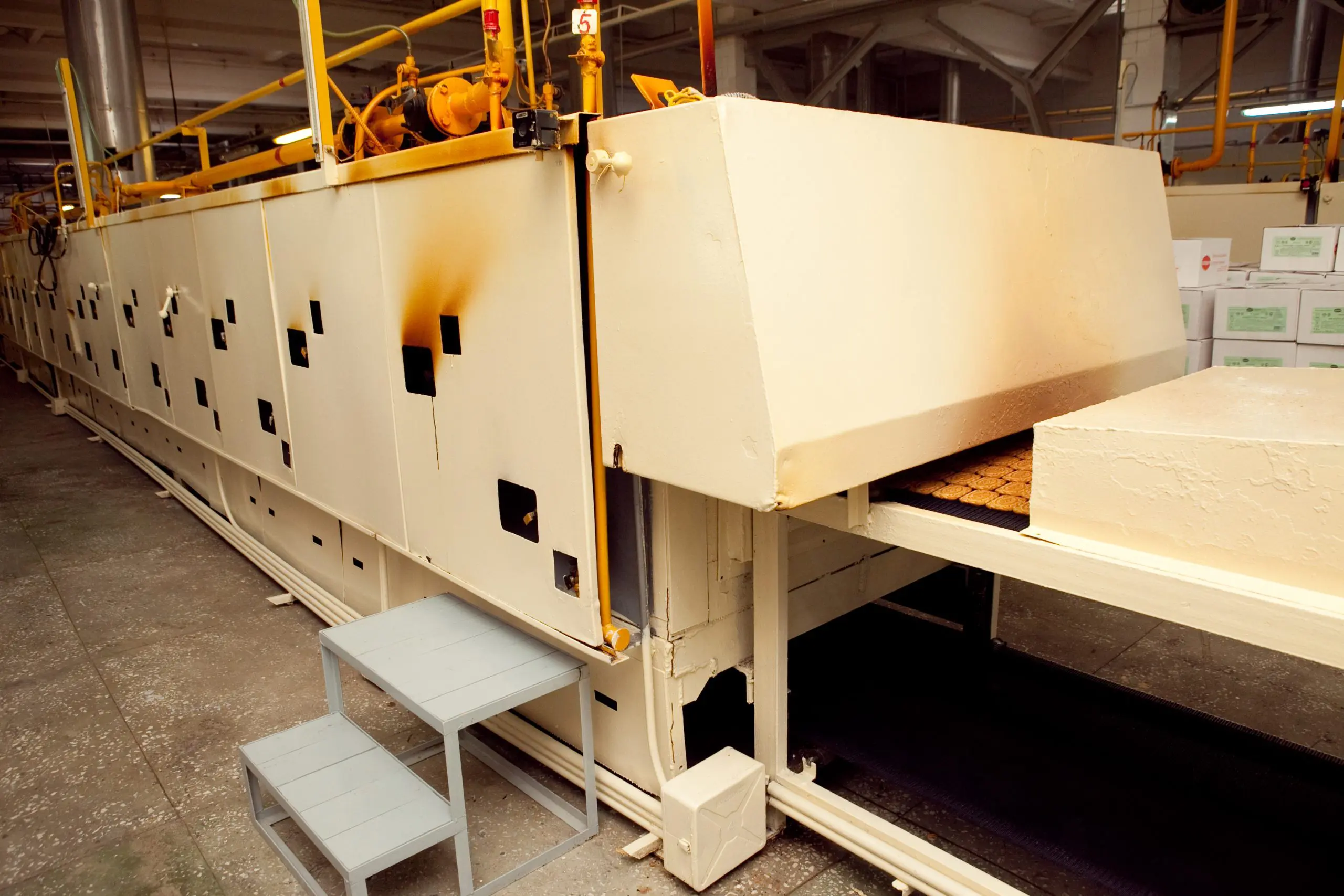 Professional plane expluatation service in big hangar