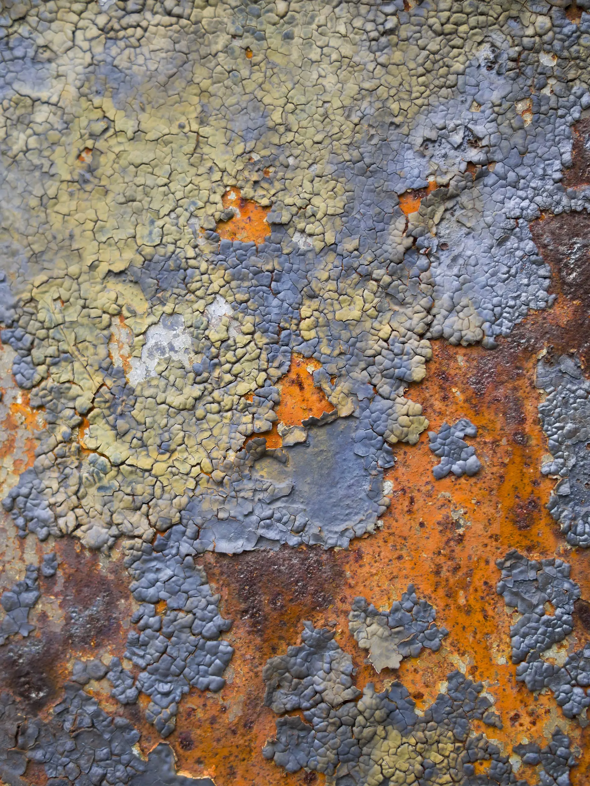 Rusty metal panel Forest landscape on a sunny day with wind turbines generating electricity in the background. Nature and ecological energy production concept.
