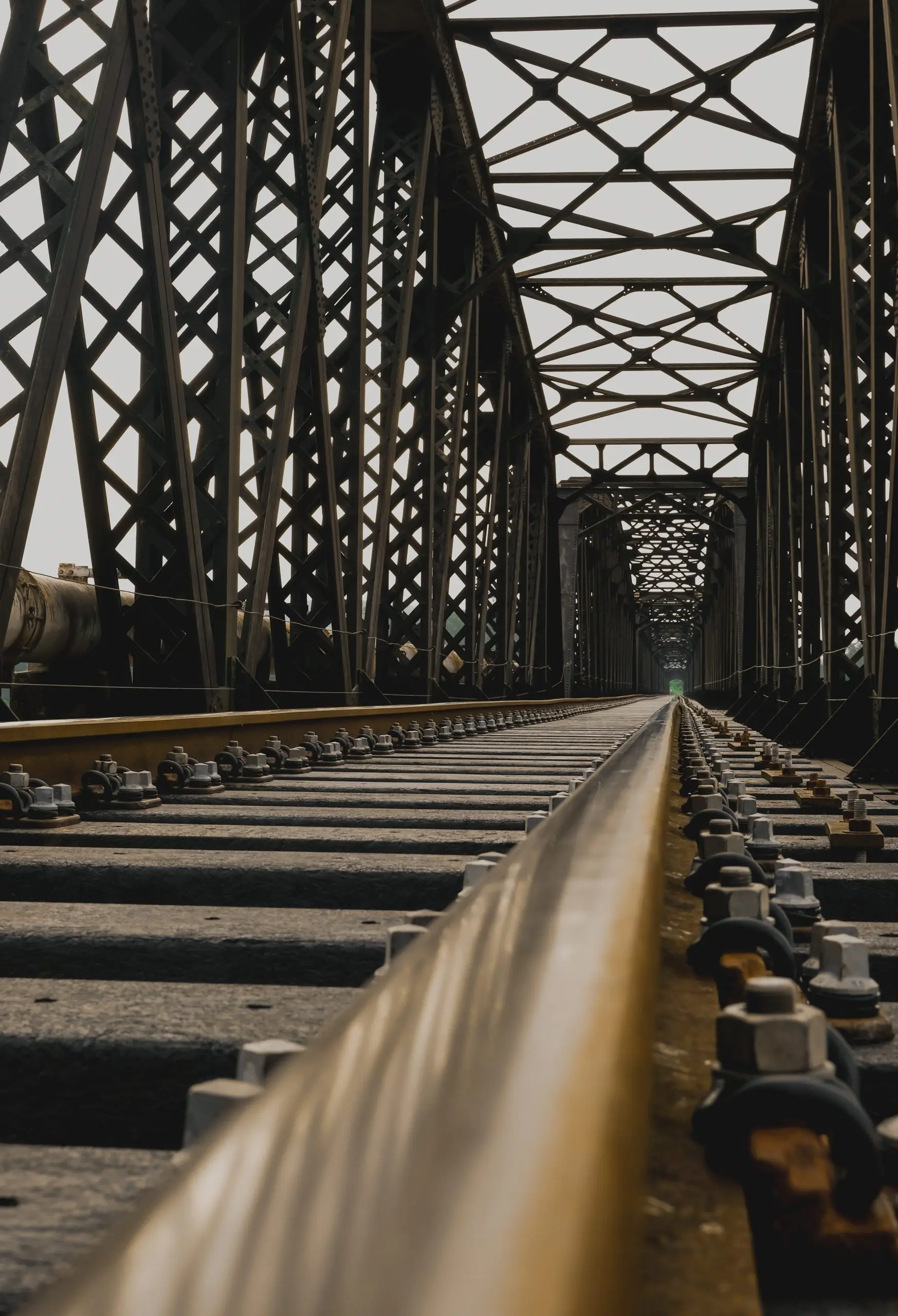 Forest landscape on a sunny day with wind turbines generating electricity in the background. Nature and ecological energy production concept.
