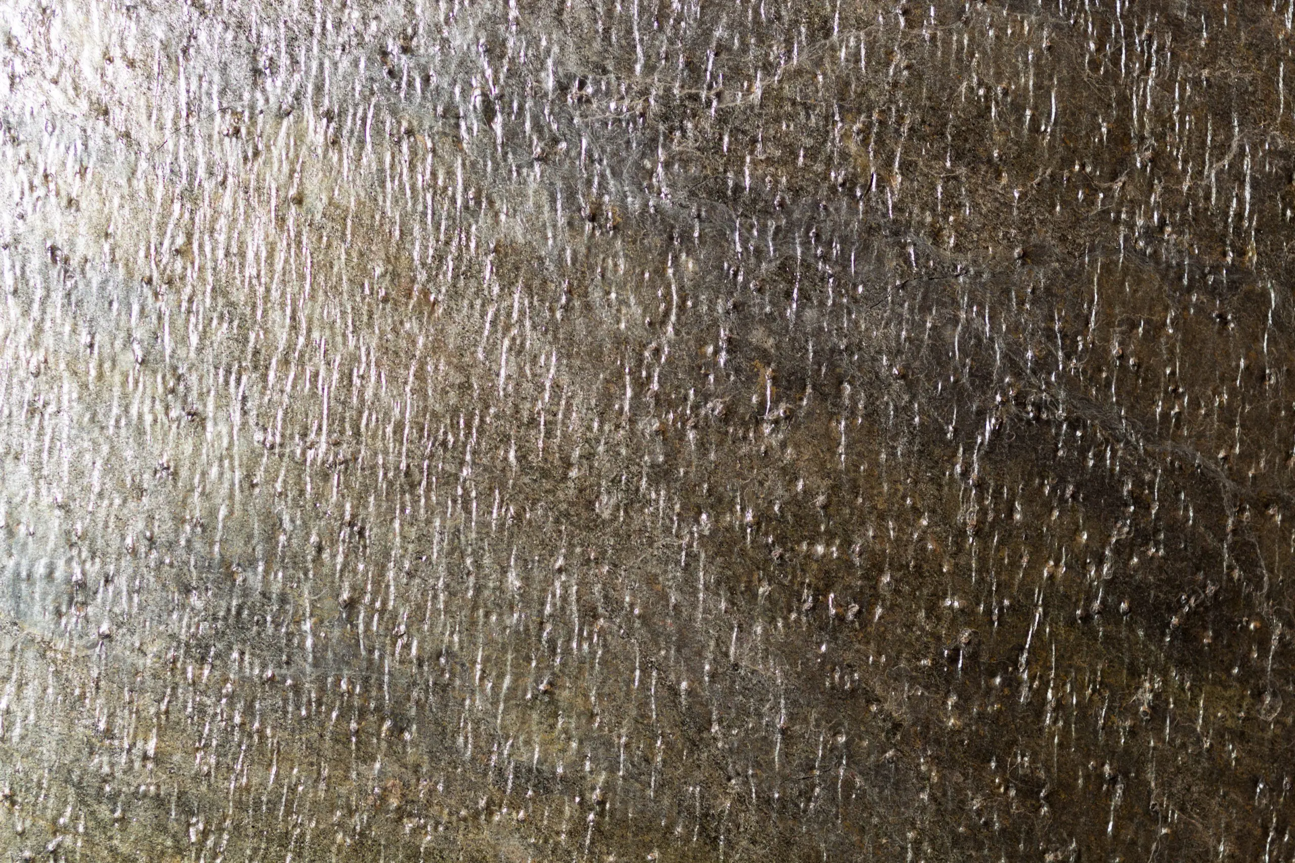 Professional plane expluatation service in big hangar